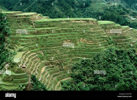 landscaper in tagalog|These iconic examples of Filipino landscape architecture were .